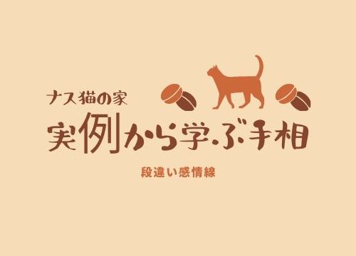 実例から学ぶ手相占い 総合的な判断の出し方 結婚線を交えて 手相研究所 ナス猫の家